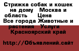 Стрижка собак и кошек на дому.  Москва и область.  › Цена ­ 1 200 - Все города Животные и растения » Услуги   . Красноярский край